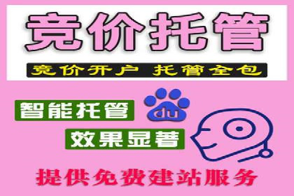 案例分析：信息流广告代运营公司助力企业增长